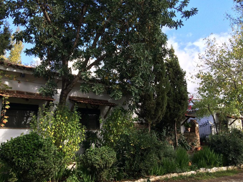 Cortijo El Berrocal Guest House Касала де ла Сиера Екстериор снимка