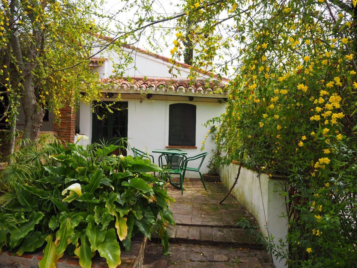 Cortijo El Berrocal Guest House Касала де ла Сиера Екстериор снимка