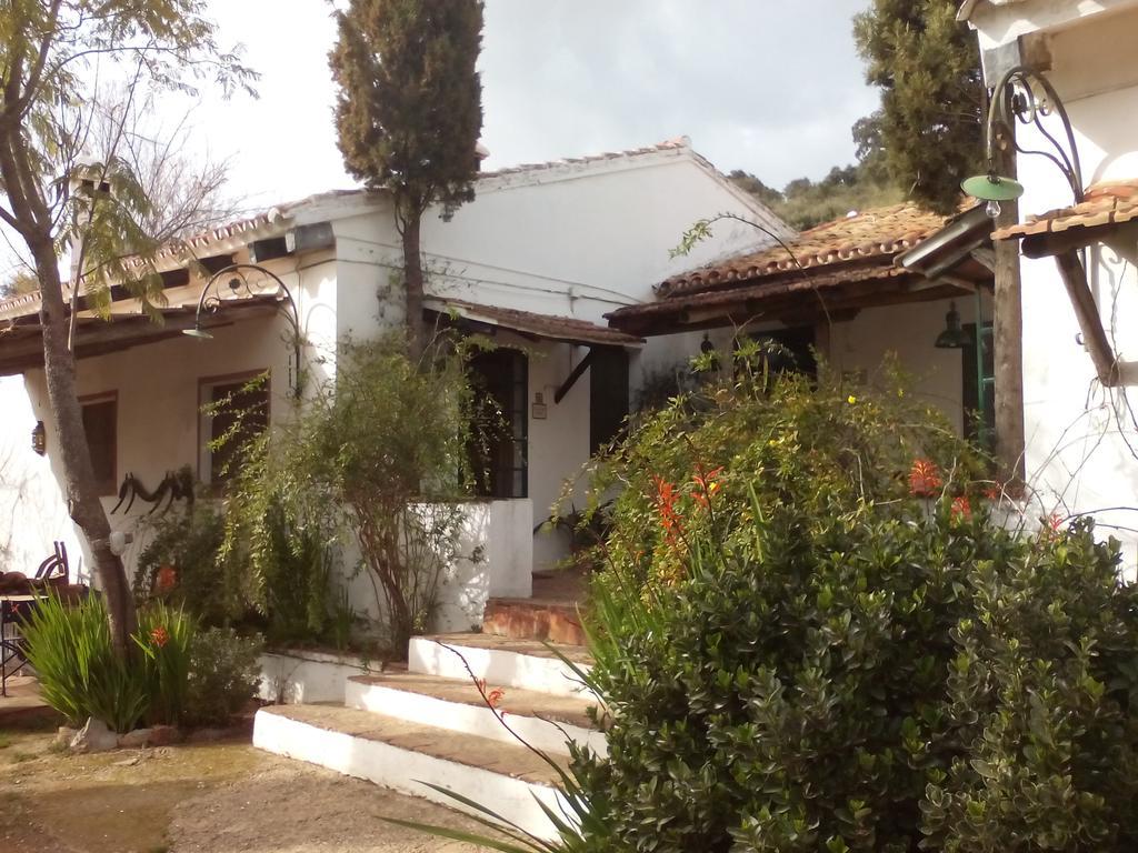 Cortijo El Berrocal Guest House Касала де ла Сиера Екстериор снимка